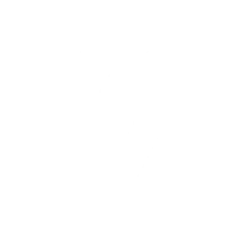 Dreamscope_Logo